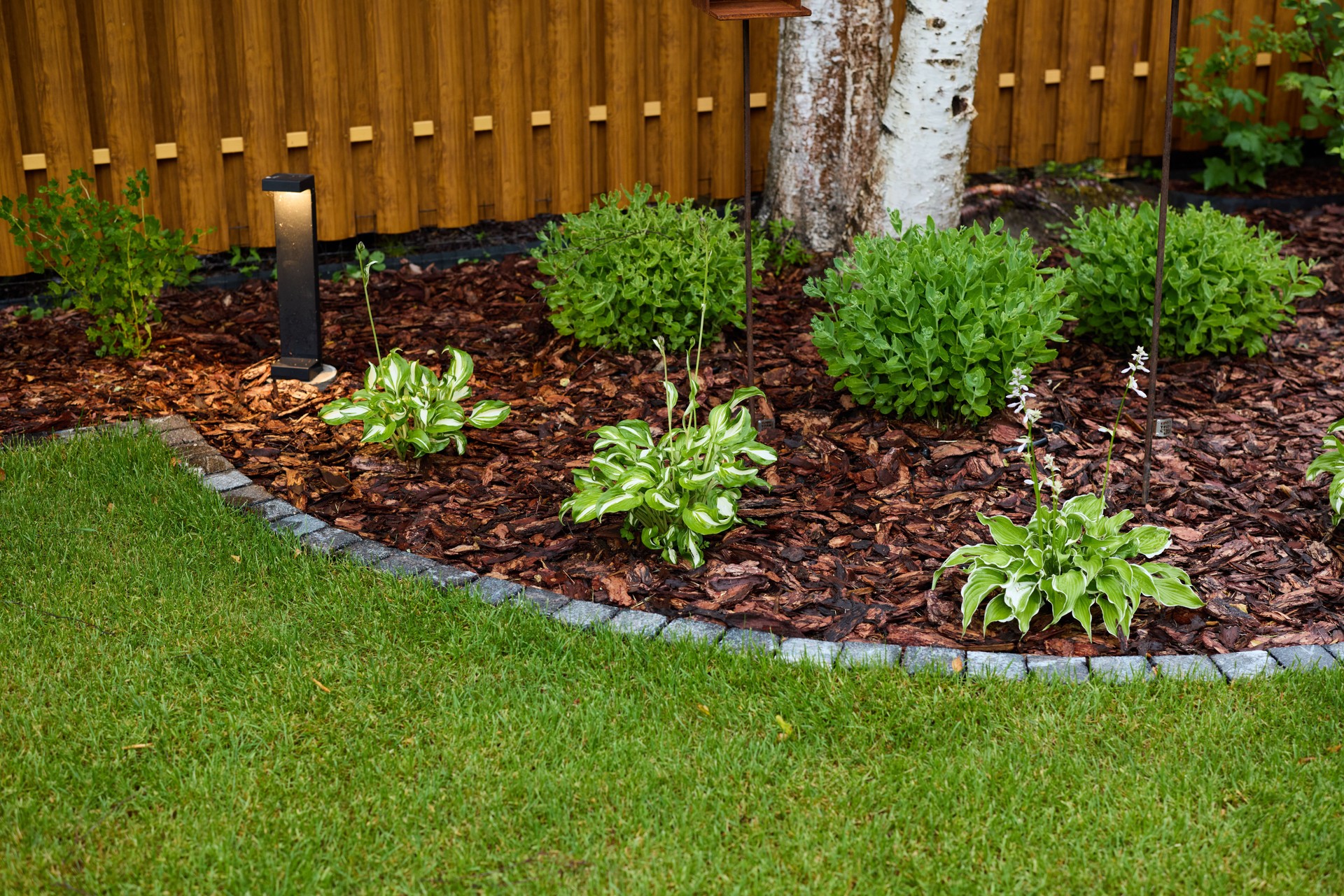 Erkunden Sie einen wunderschön gestalteten Garten mit schönem Mulch und faszinierender Außenbeleuchtung