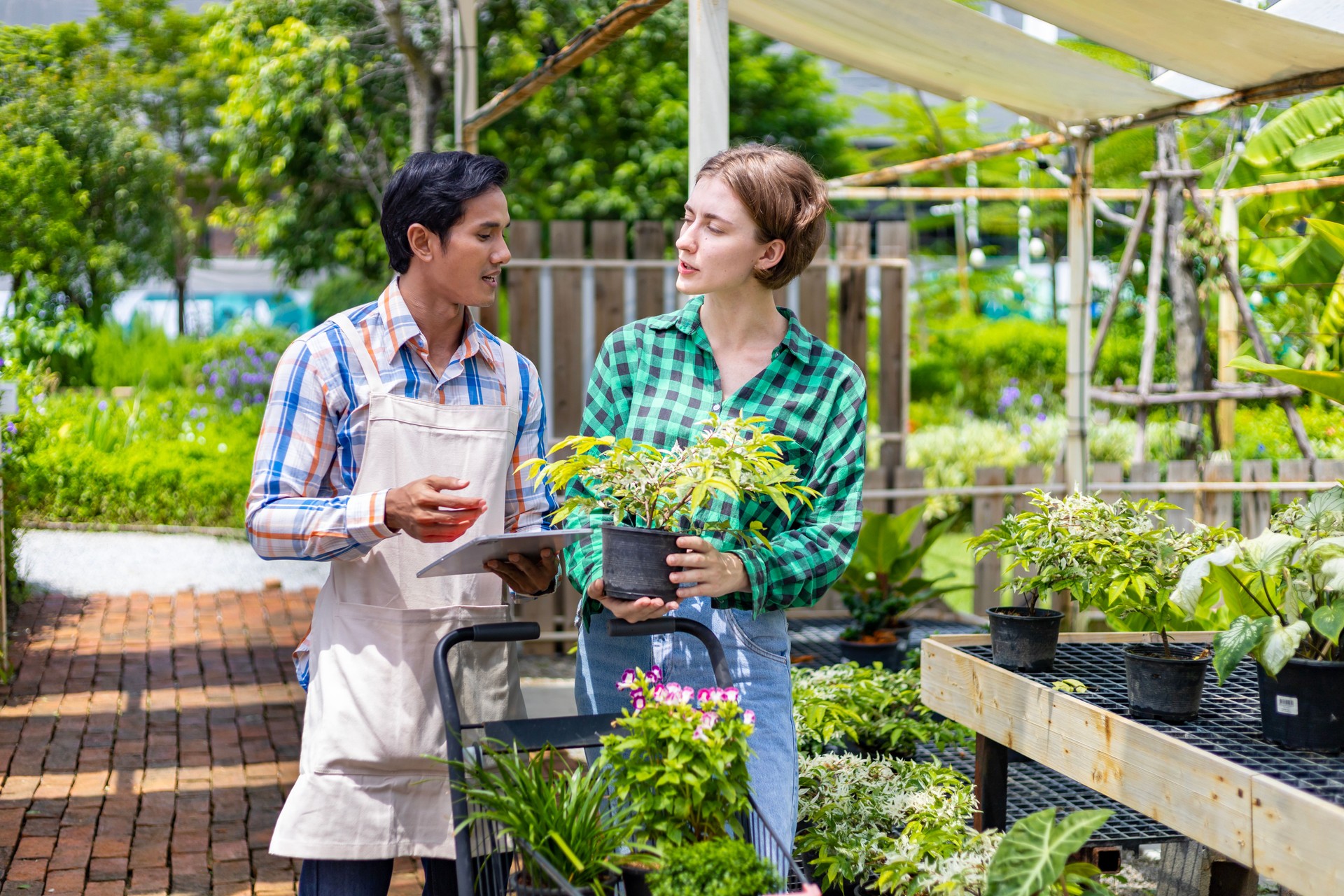 Junger kaukasischer Kunde fragt den Gärtnereibesitzer nach der exotischen Pflanze mit Einkaufswagen voller Sommerpflanze für Wochenendgartenarbeit und Outdoor-Konzept
